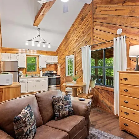 Villa Pet-Friendly Smoky Getaway With Hot Tub à Sevierville Extérieur photo