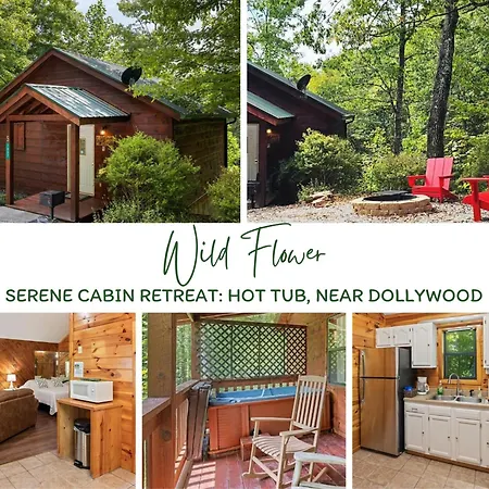 Villa Pet-Friendly Smoky Getaway With Hot Tub à Sevierville Extérieur photo