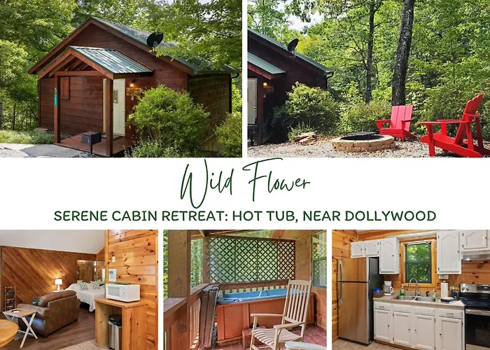 Pet-Friendly Smoky Getaway With Hot Tub