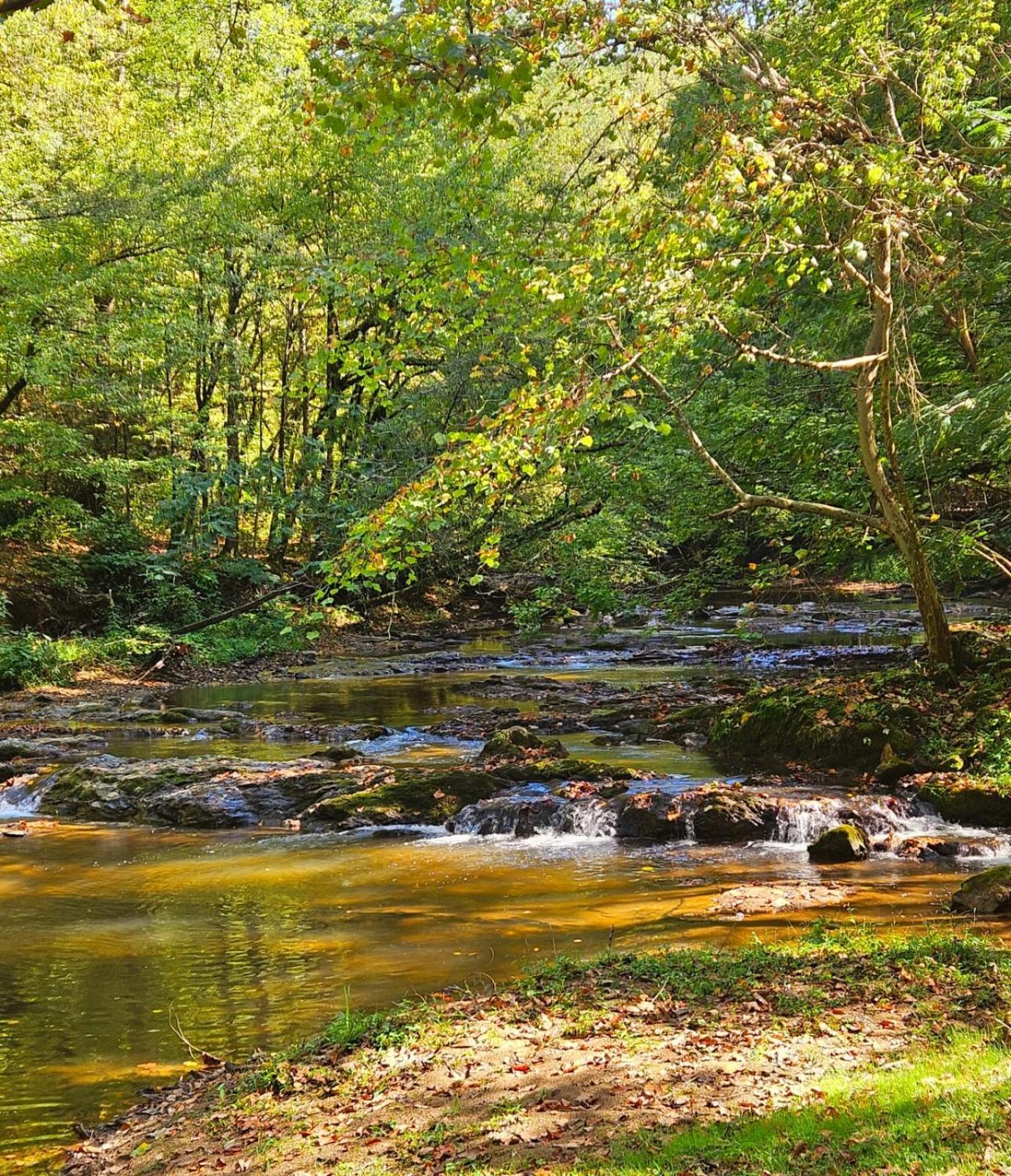 Hébergement de vacances Pet-friendly Smoky Getaway With Hot Tub *